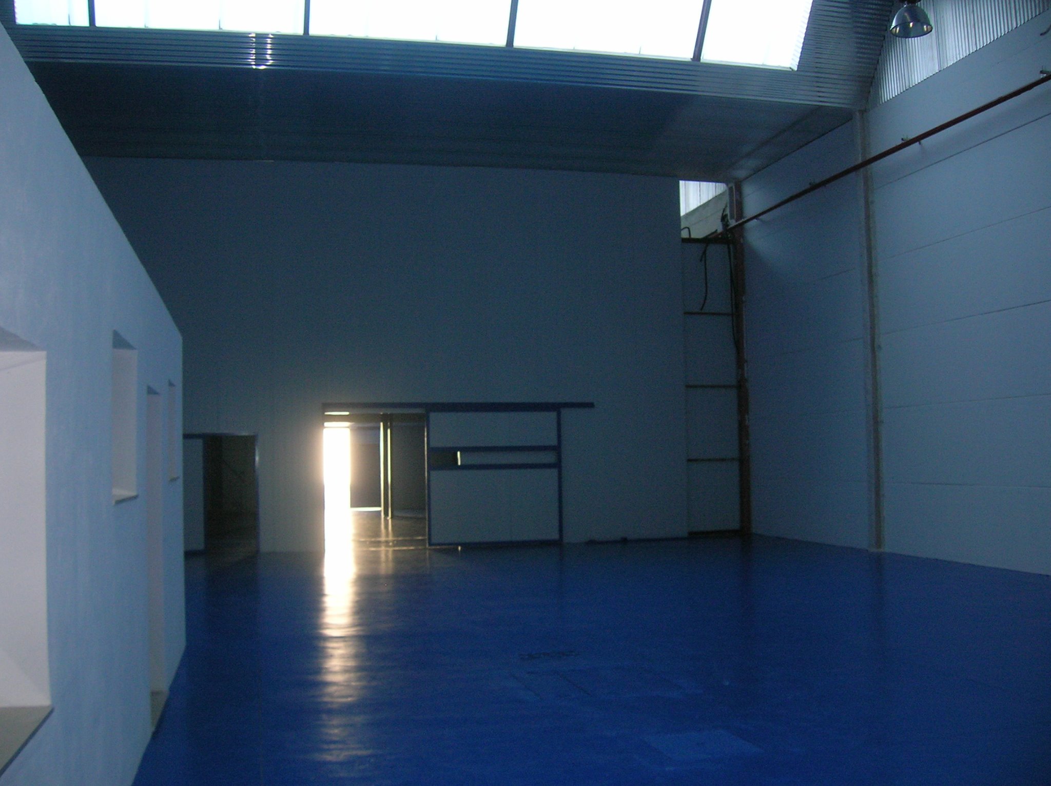 Proyecto 1